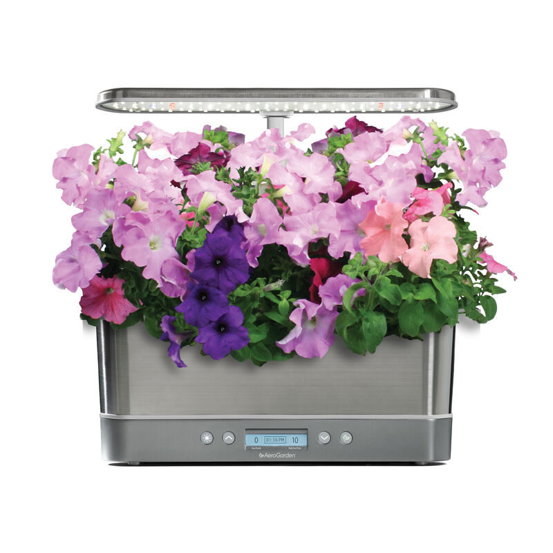 Cascading Petunias Seed Pod Kit image number null